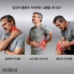 16헤드 마사지건 - 이미지 12